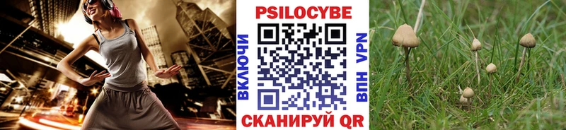 OMG ONION купить закладку Славгород дарк нет формула Псилоцибиновые грибы MAGIC MUSHROOMS
