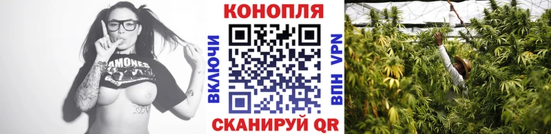 Конопля LSD WEED  Славгород 